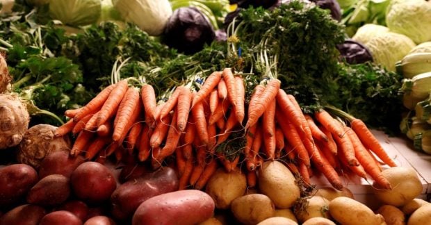 Цены на морковь в Украине стремительно увеличились из-за нехватки: какова текущая стоимость килограмма