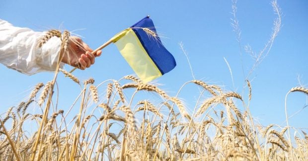 Возможен ли альтернативный торговый договор между ЕС и Украиной: FT рассмотрело различные варианты
