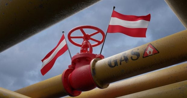 В Австрии отказались от восстановления импорта газа из России