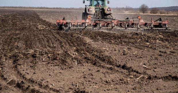 Цены на сельскую землю в Украине резко увеличиваются на фоне войны: какая стоимость гектара на сегодняшний день