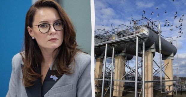 Власти Украины планируют передать США два участка с нефтегазовыми ресурсами на Западе страны.