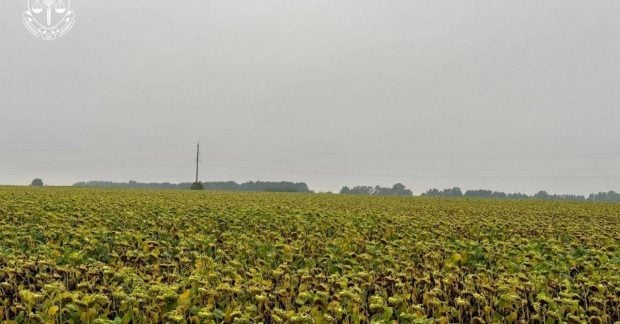 Загрязненные земледельческие земли: в Украине сбывали радиоактивные продукты