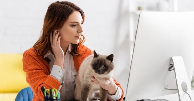 Зарплаты до 70 тысяч: кто наиболее востребован работодателями в Украине