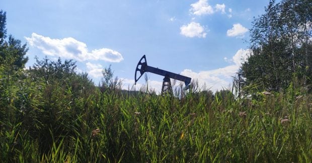 Невиданные низины: цены на нефть в России рискуют установить исторический минимум