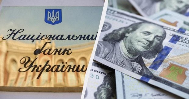 Доллар снова растет: установленный курс валют на вторник