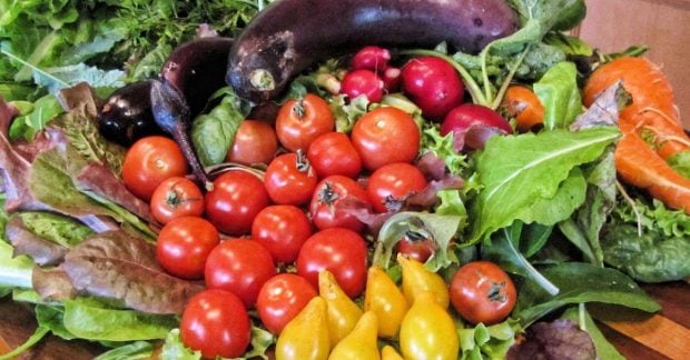 Цены на морковь и лук снижаются, тогда как фрукты становятся дороже: актуальная стоимость продуктов сейчас